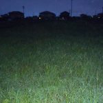 余り良く眠れない　240802